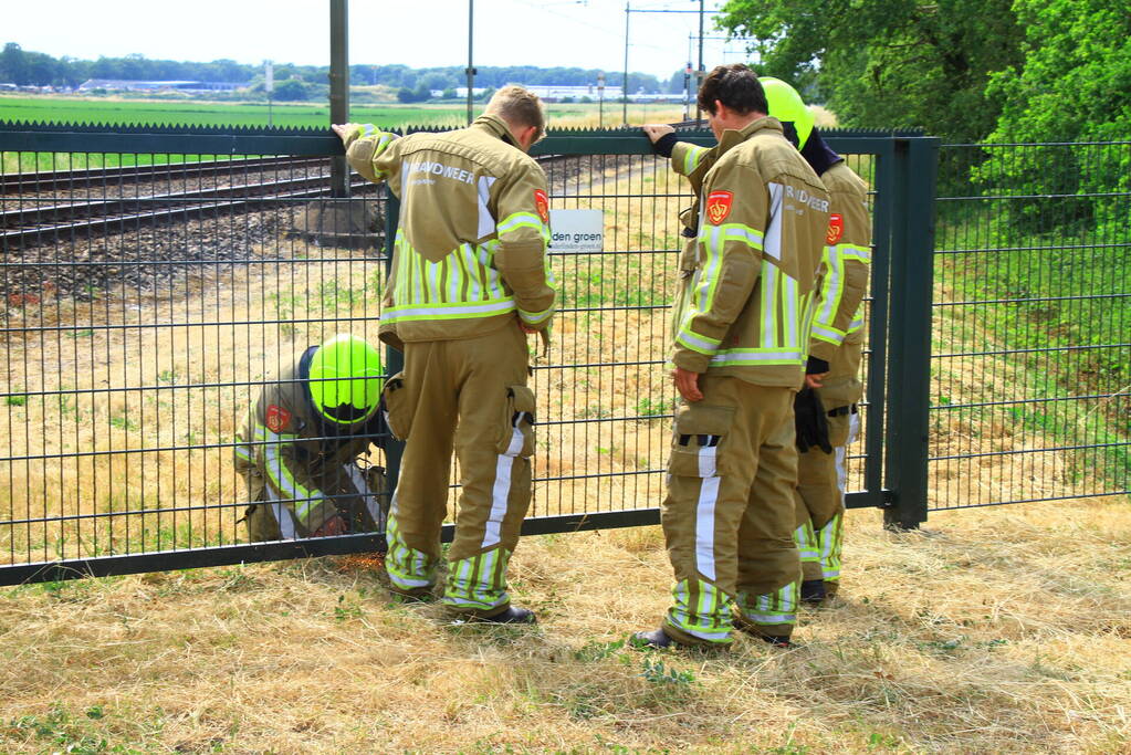 Treinverkeer stilgelegd vanwege natuurbrand