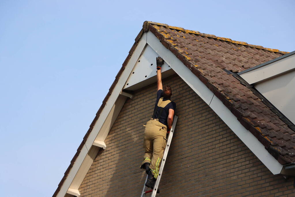 Brandweer bevrijdt vastzittende zwaluw