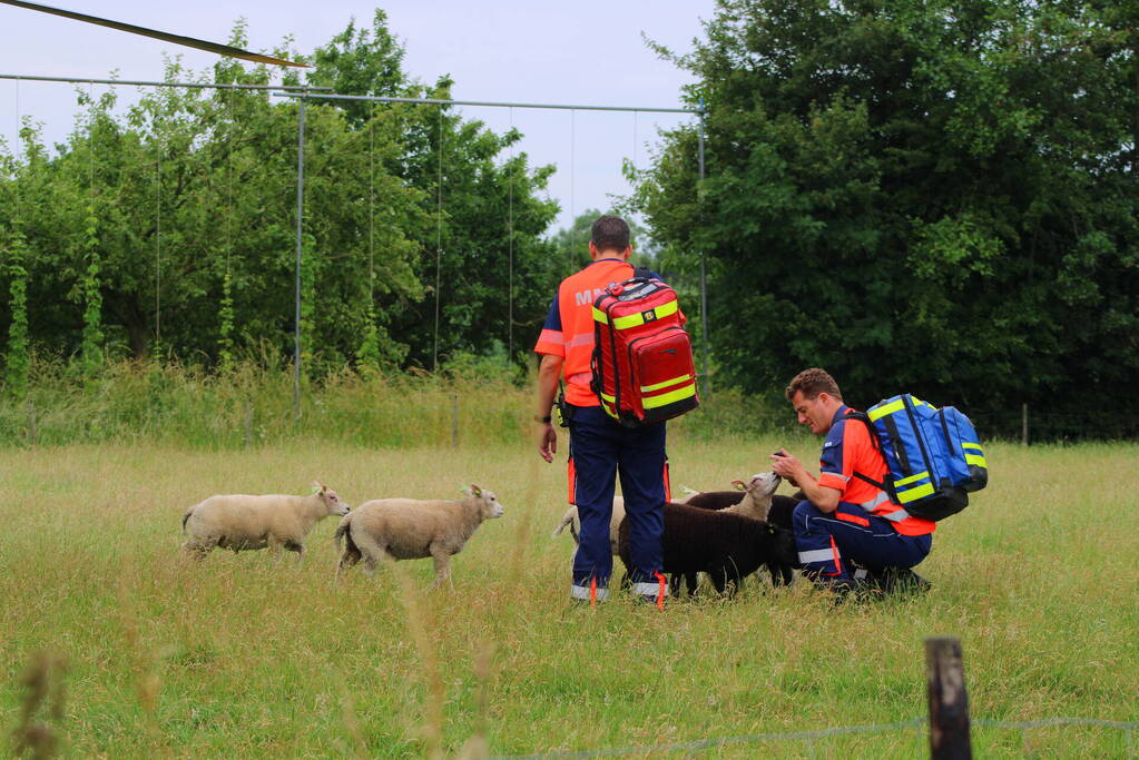 Zwaargewonde aangetroffen in auto na melding steekpartij