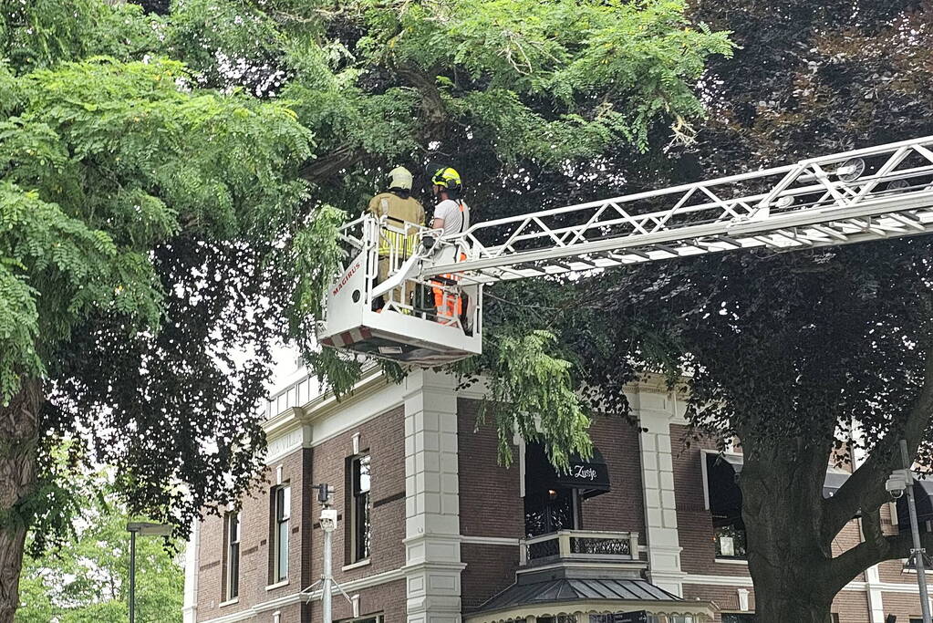 Winkelgebied deels afgesloten door gevaarlijk hangende tak