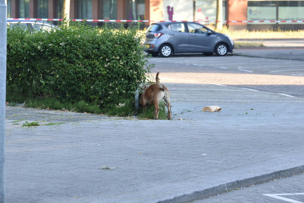 Man rijdt naar ziekenhuis na te zijn beschoten