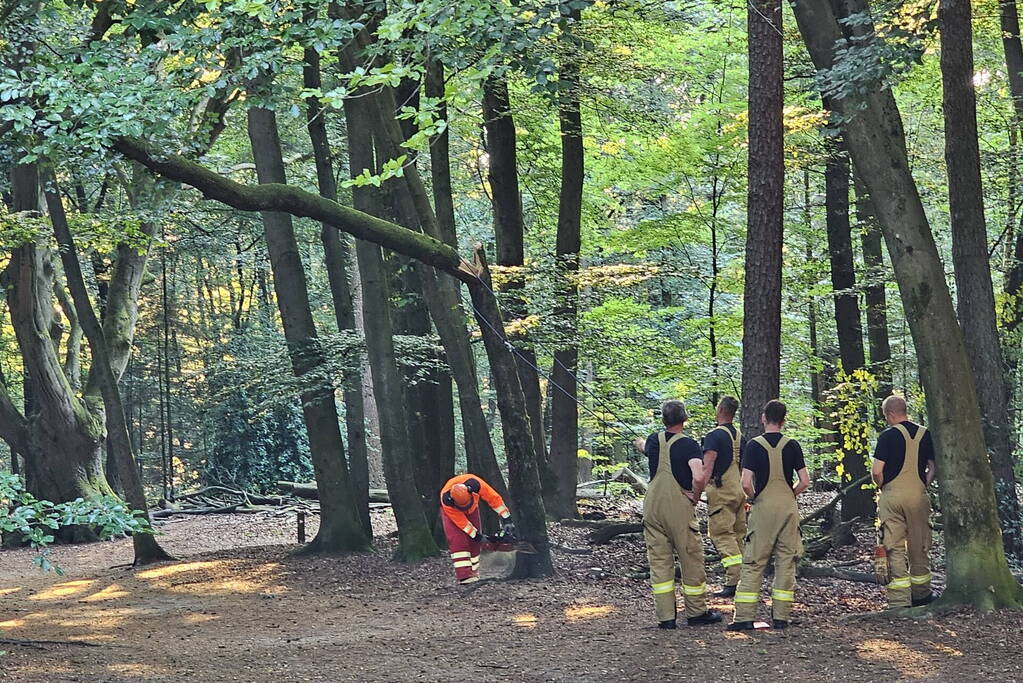 Half omgevallen boom omgezaagd door brandweer