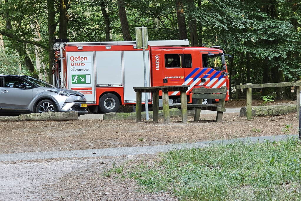 Half omgevallen boom omgezaagd door brandweer