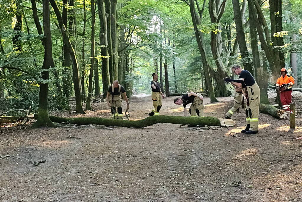 Half omgevallen boom omgezaagd door brandweer