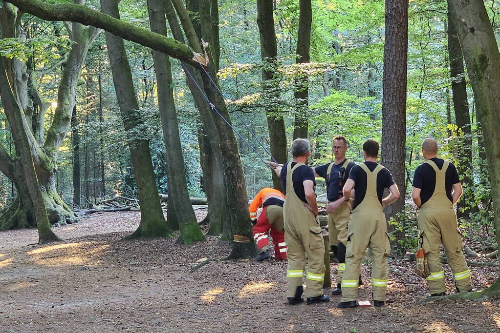 Half omgevallen boom omgezaagd door brandweer