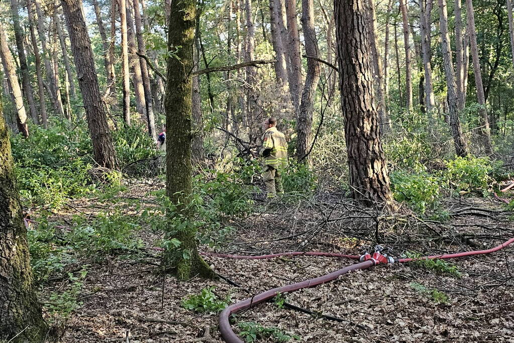 Opnieuw brand in bosgebied