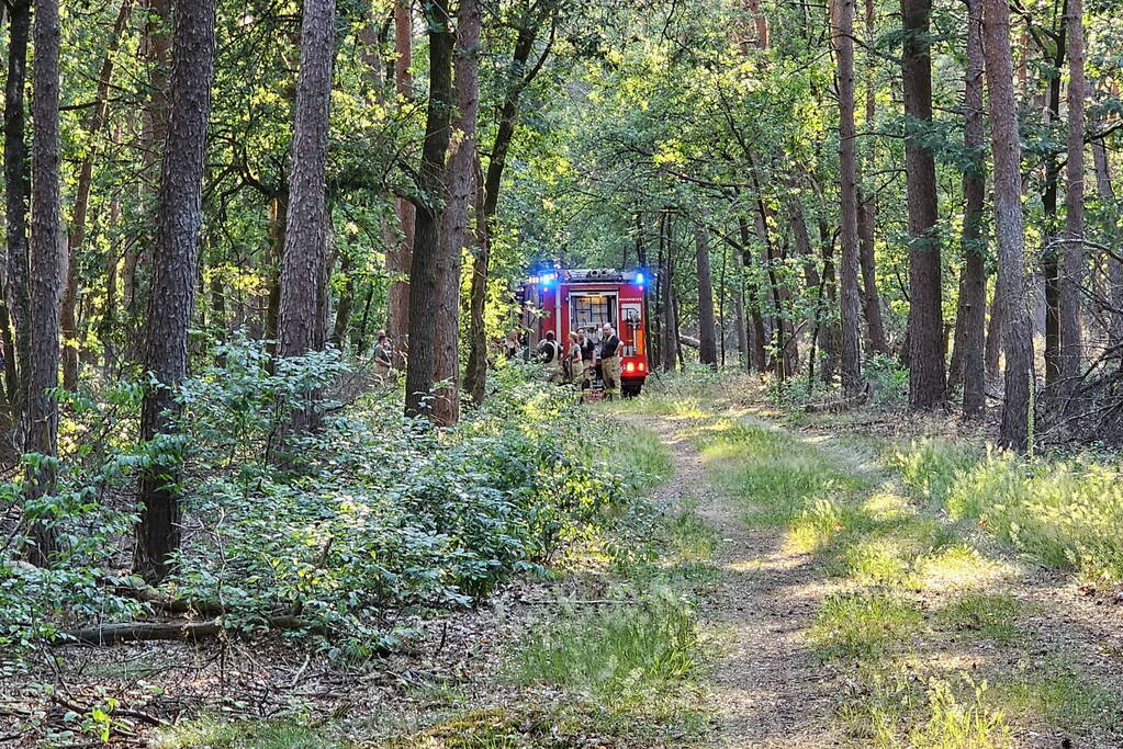 Opnieuw brand in bosgebied