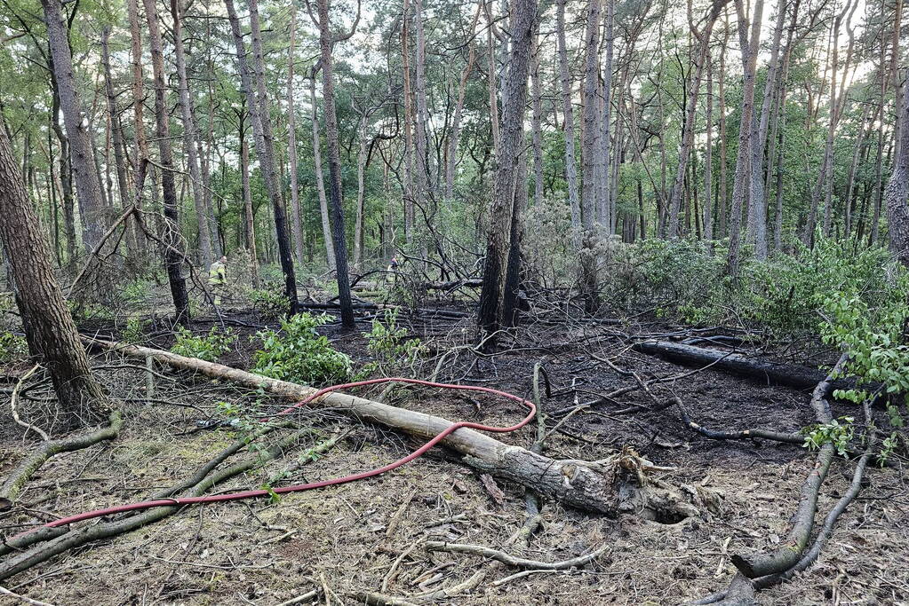 Opnieuw brand in bosgebied