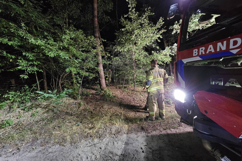 Brandweer heeft bosbrand snel onder controle