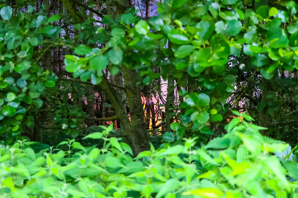 Stapel hout afgebrand