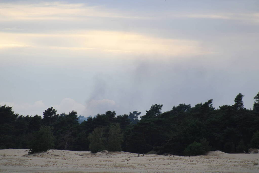 Meters bos in brand