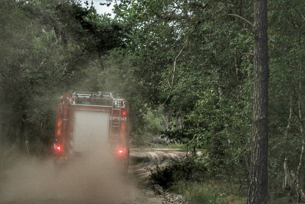 Meters bos in brand