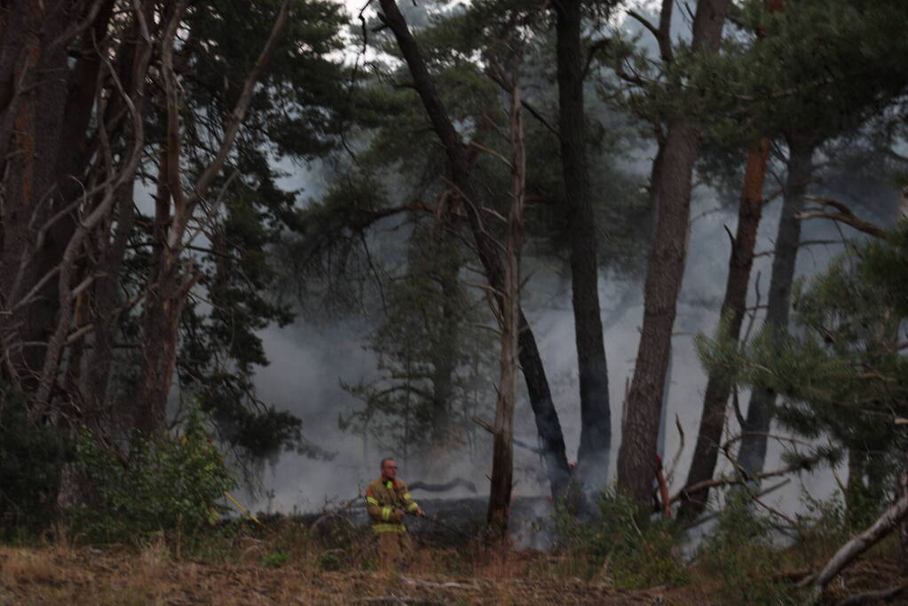 Meters bos in brand