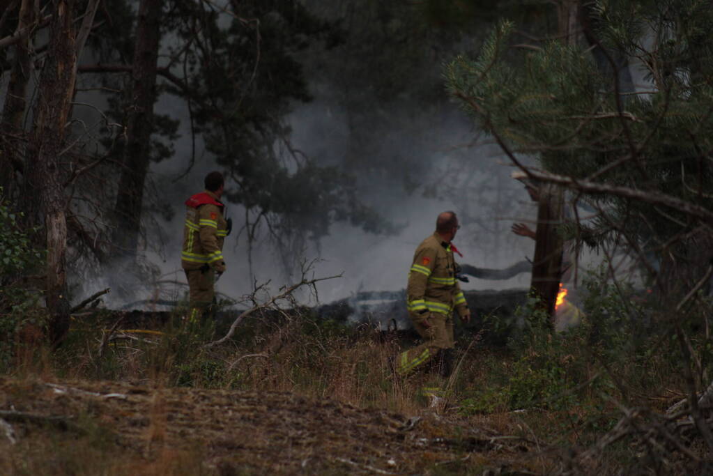 Meters bos in brand