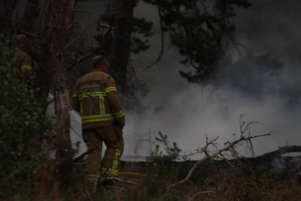 Meters bos in brand