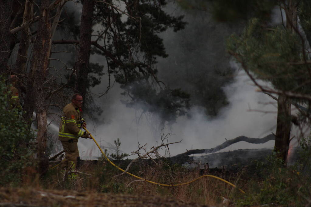 Meters bos in brand