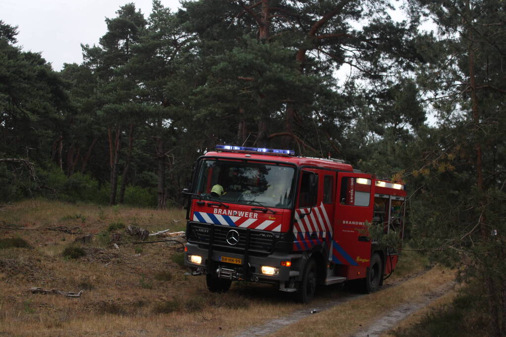 Meters bos in brand