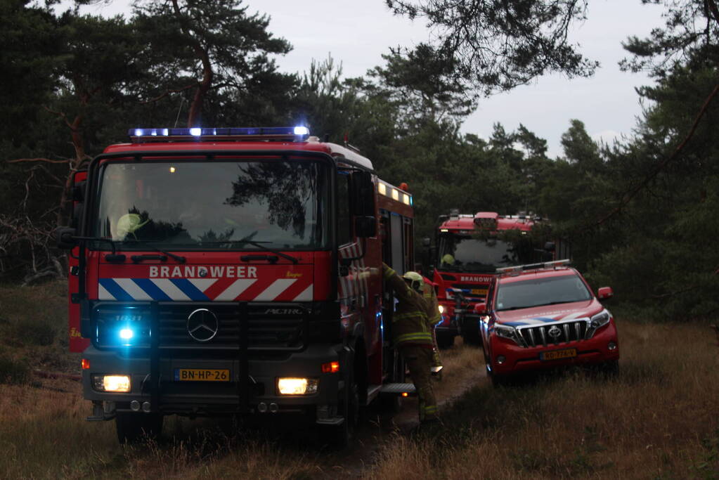 Meters bos in brand