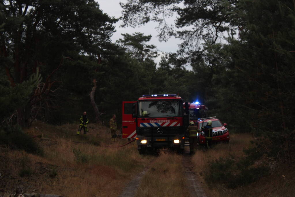 Meters bos in brand