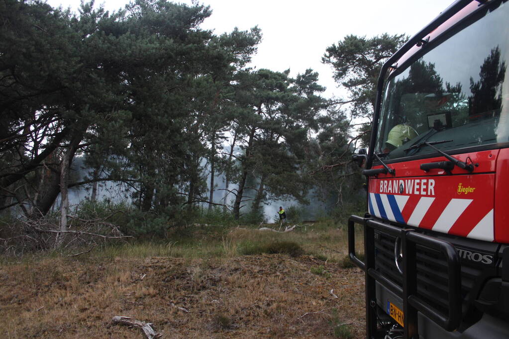 Meters bos in brand