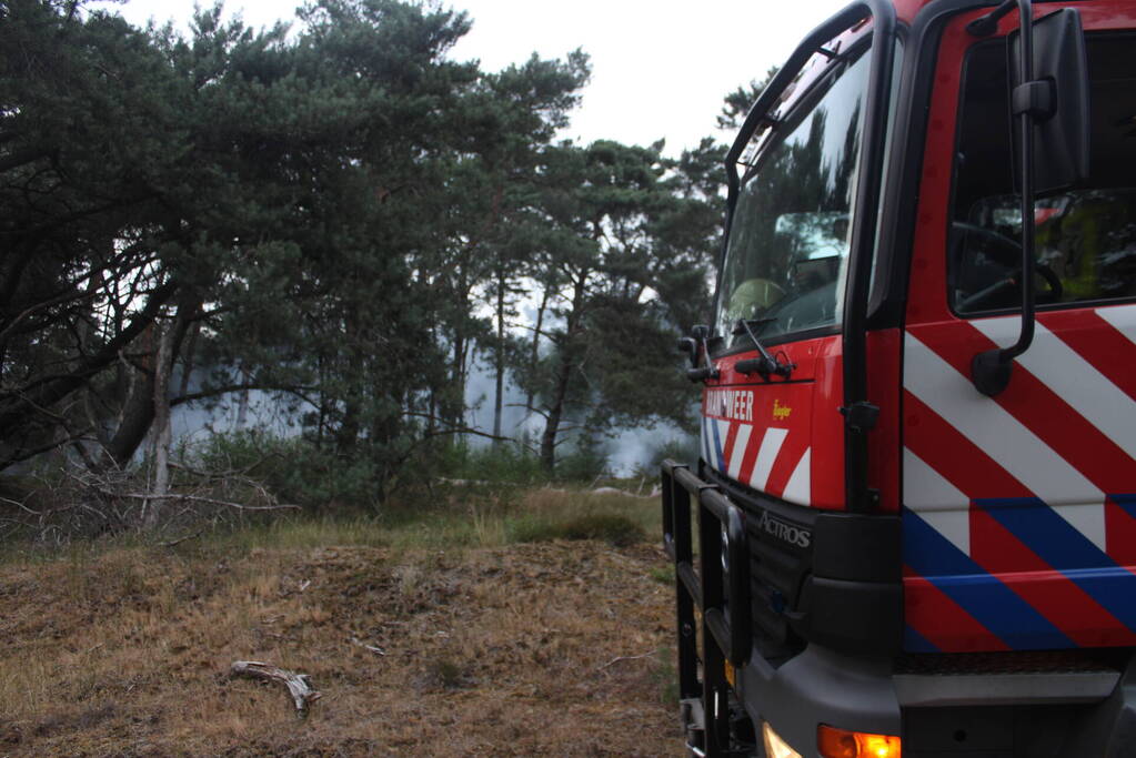 Meters bos in brand