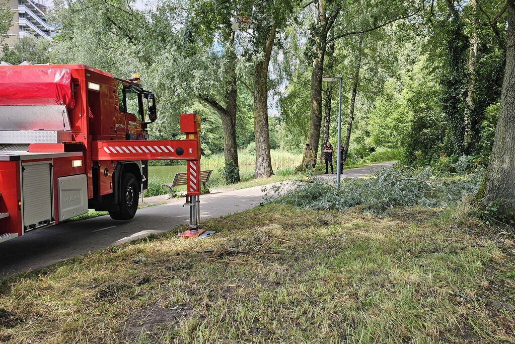 Brandweer ingezet voor afgebroken tak