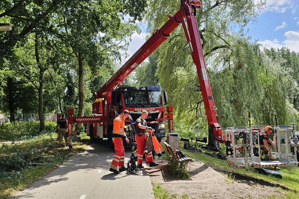 Brandweer ingezet voor afgebroken tak