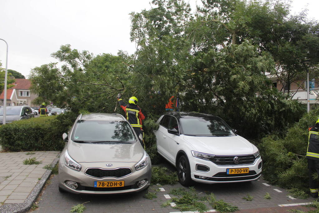 Grote tak valt op auto's