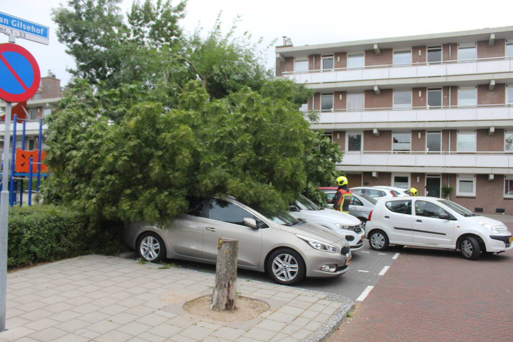 Grote tak valt op auto's