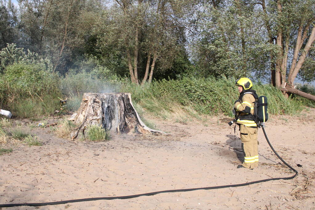 Smeulbrand in grote stronk van boom