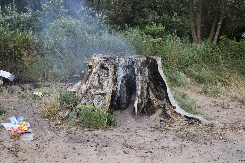 Smeulbrand in grote stronk van boom