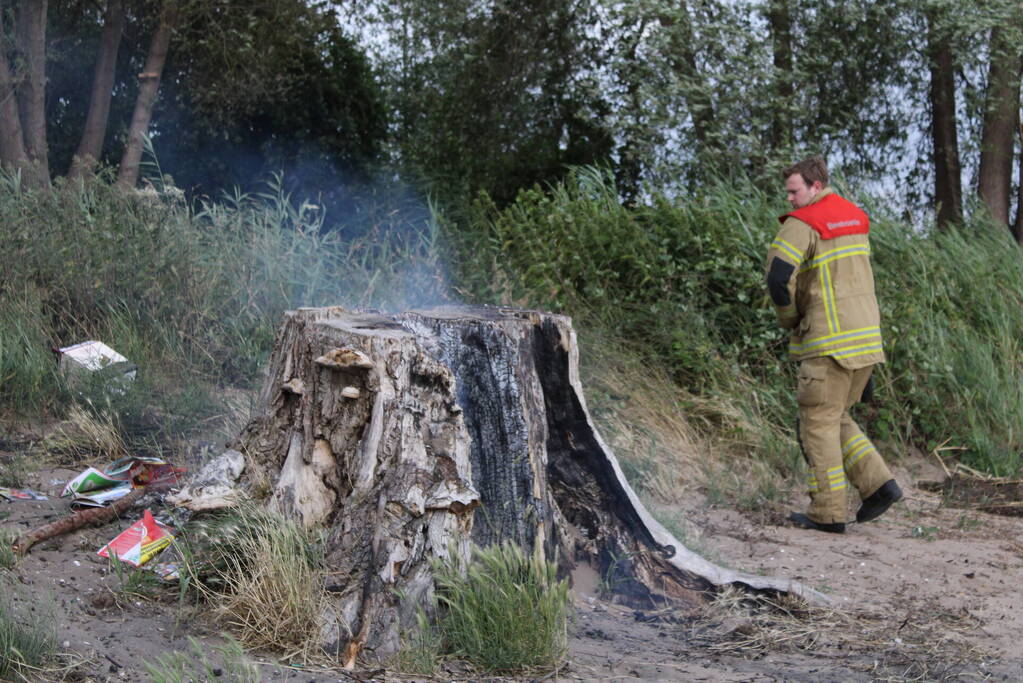 Smeulbrand in grote stronk van boom