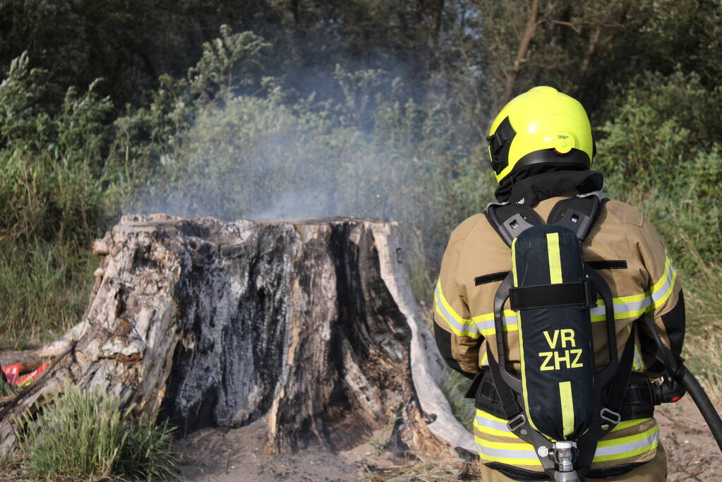 Smeulbrand in grote stronk van boom