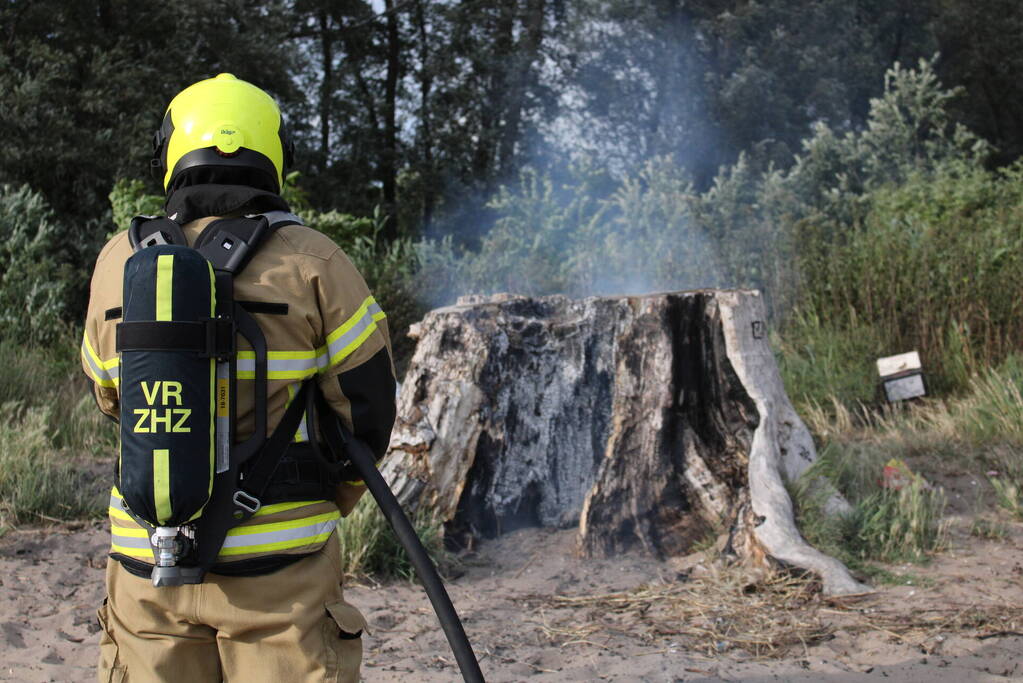 Smeulbrand in grote stronk van boom