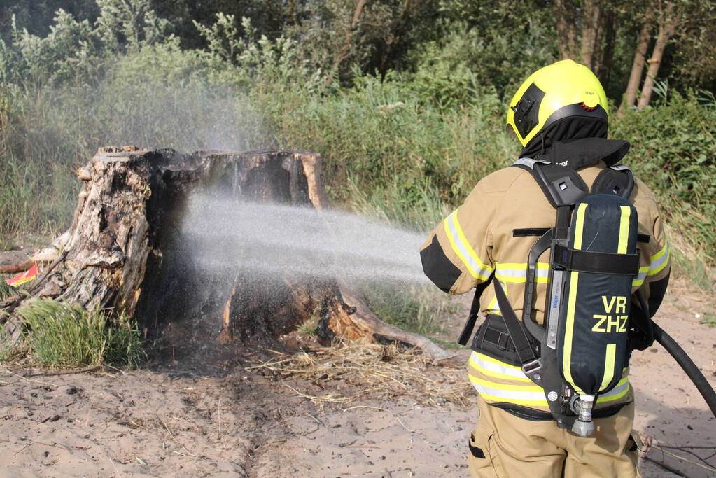 Smeulbrand in grote stronk van boom