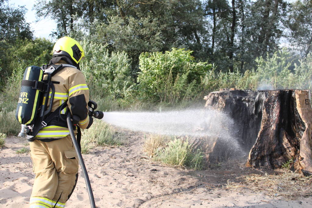 Smeulbrand in grote stronk van boom