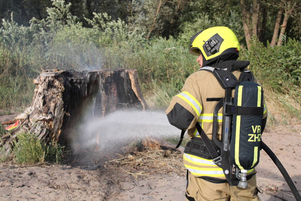 Smeulbrand in grote stronk van boom