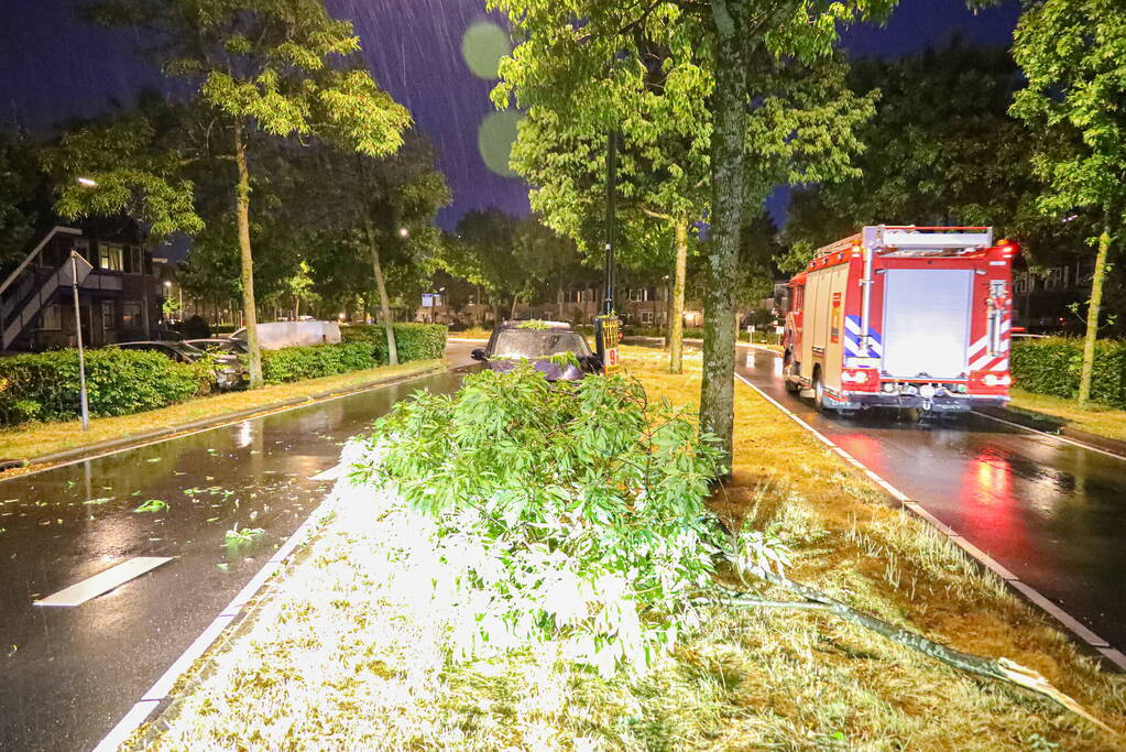 LPG-tank auto lek na botsing met boom