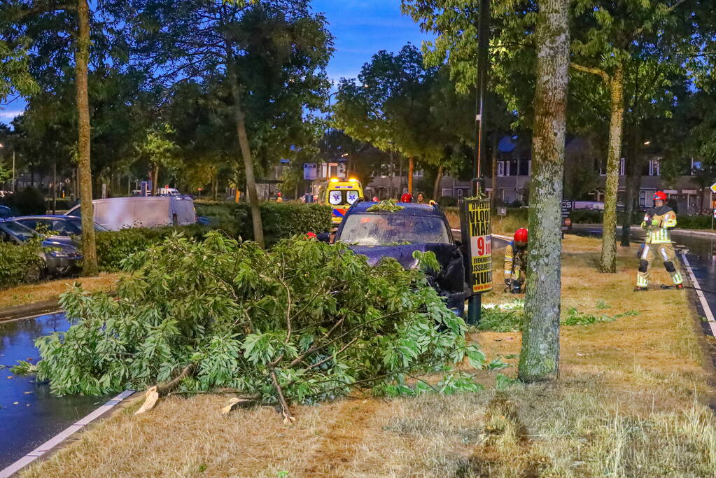 LPG-tank auto lek na botsing met boom