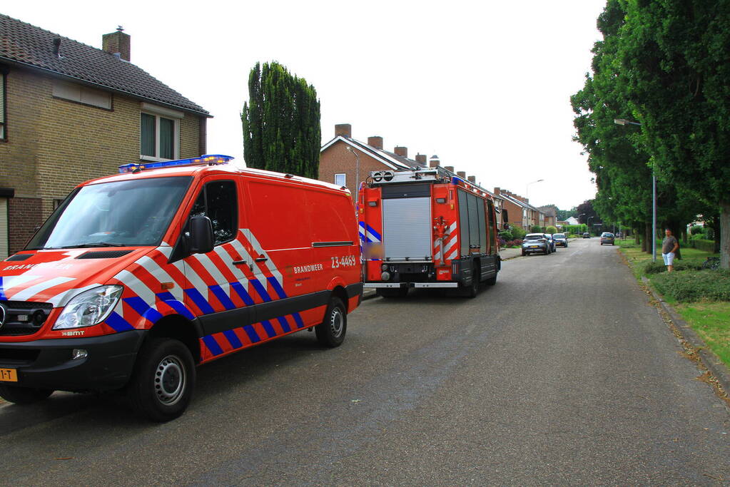 Kat mogelijk vast in schoorsteen van woning