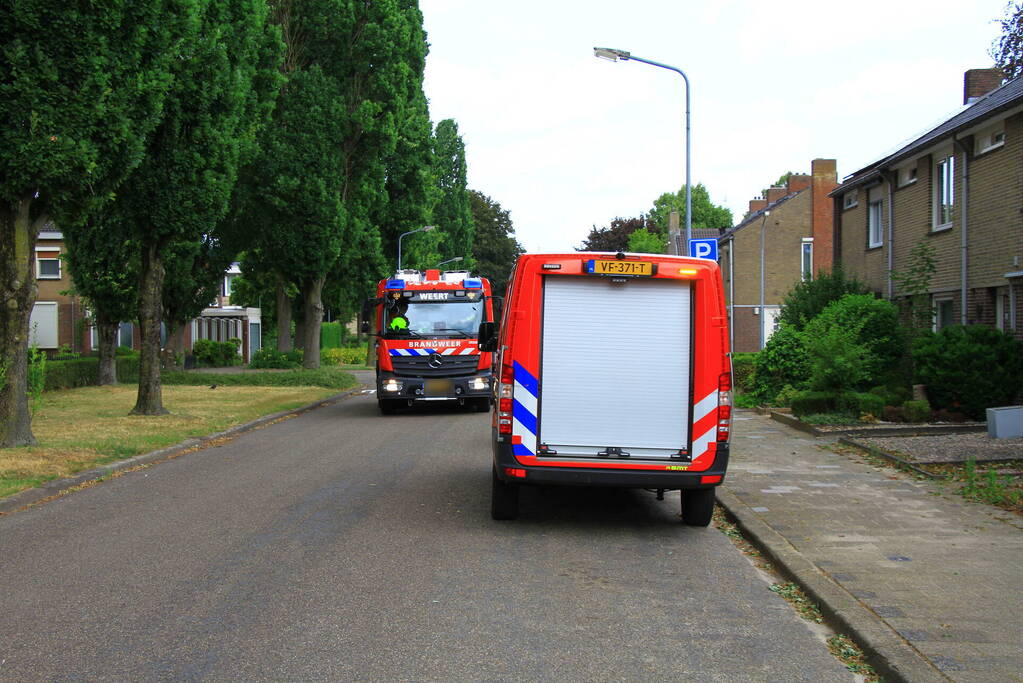 Kat mogelijk vast in schoorsteen van woning