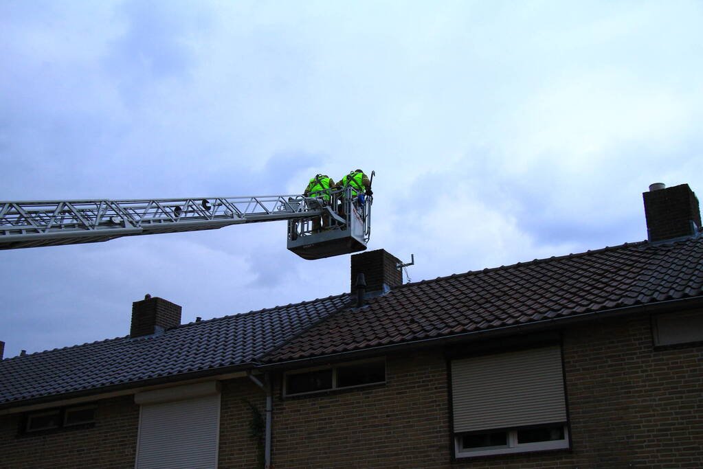 Brandweer redt voor derde keer kat van dak