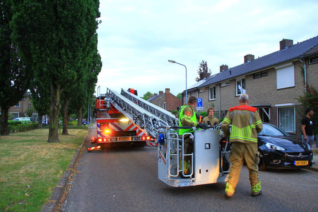 Brandweer redt voor derde keer kat van dak