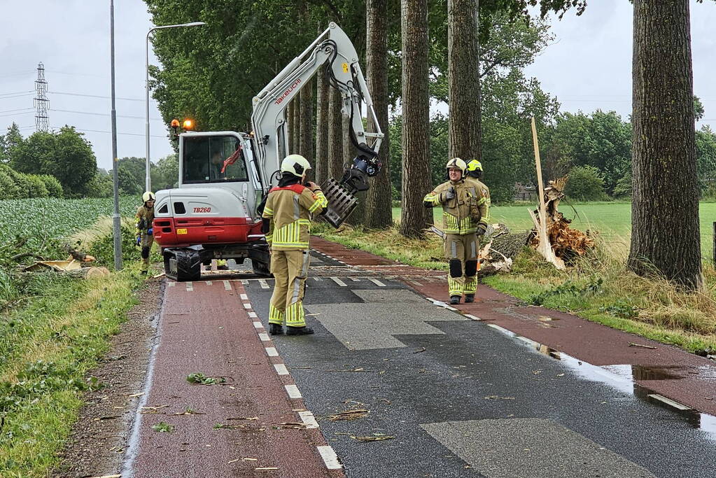 Enorme omgewaaide boom verspert de weg