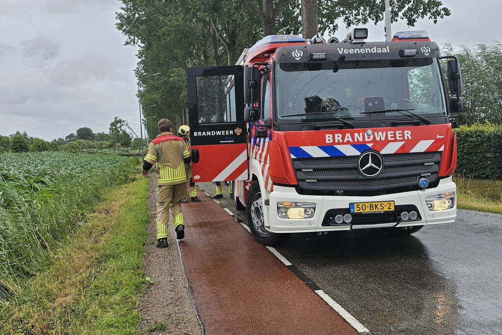 Enorme omgewaaide boom verspert de weg