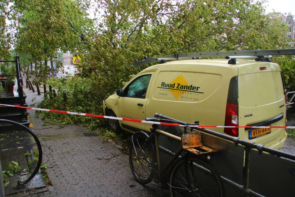 Enorme boom volledig uit de grond gerukt door zomerstorm Poly