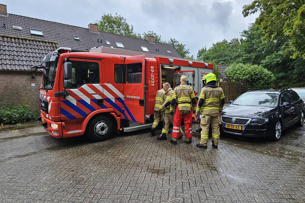 Bestelbus beschadigd door vallende tak