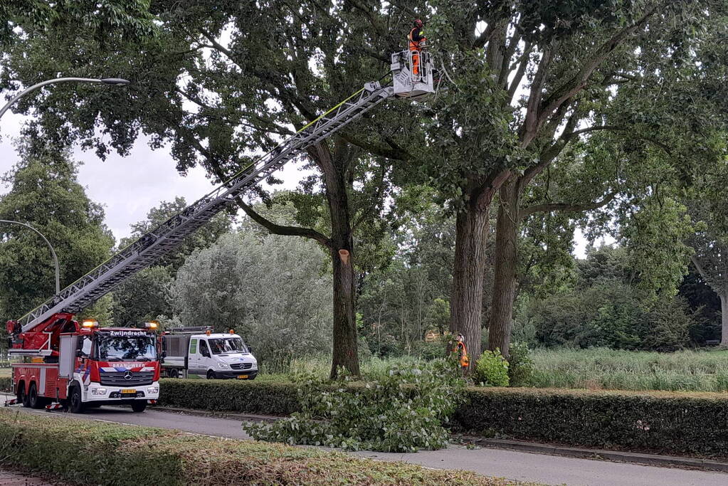 Brandweer verwijdert loshangende takken boven wegdek