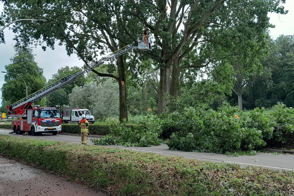 Brandweer verwijdert loshangende takken boven wegdek