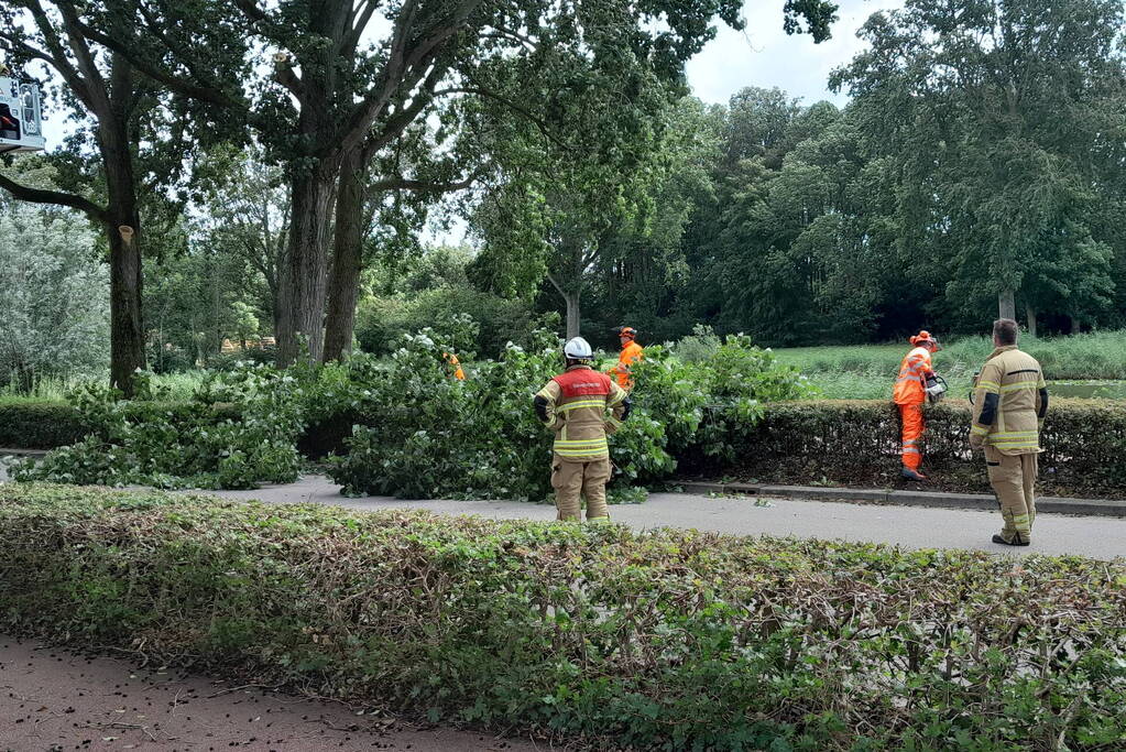 Brandweer verwijdert loshangende takken boven wegdek